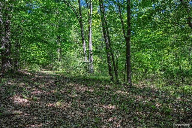 6250 Stine Road, Goodland Township, MI 48444