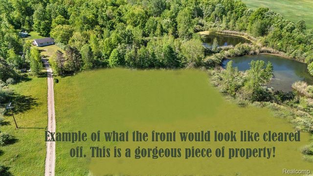 6250 Stine Road, Goodland Township, MI 48444