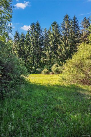 6250 Stine Road, Goodland Township, MI 48444
