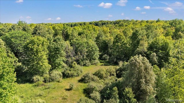 6250 Stine Road, Goodland Township, MI 48444