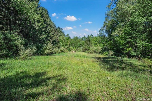6250 Stine Road, Goodland Township, MI 48444