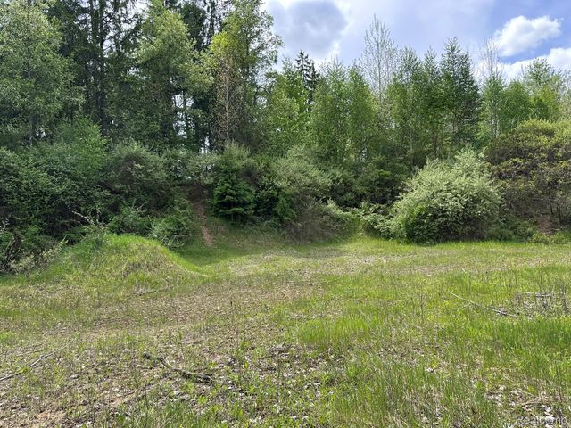 6250 Stine Road, Goodland Township, MI 48444