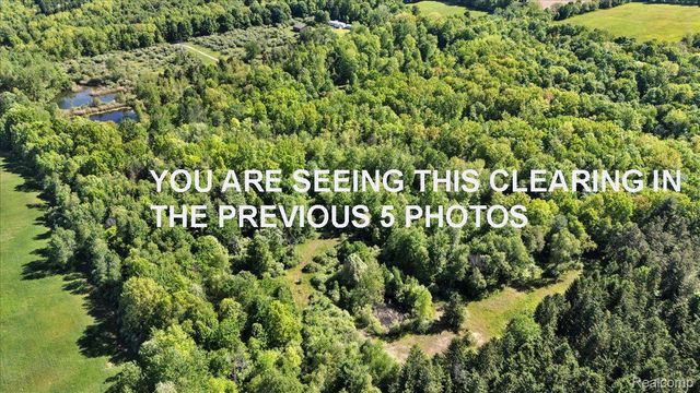 6250 Stine Road, Goodland Township, MI 48444