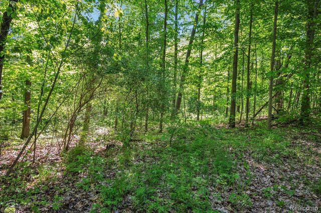 6250 Stine Road, Goodland Township, MI 48444