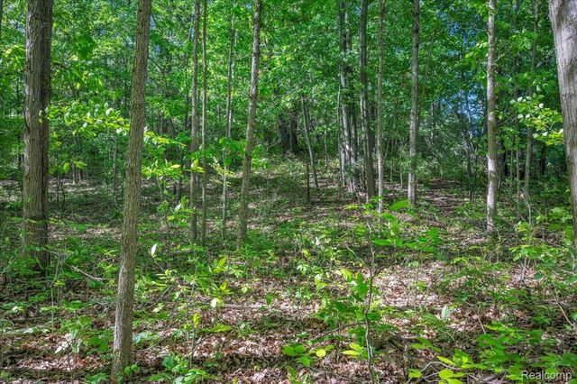 6250 Stine Road, Goodland Township, MI 48444
