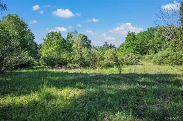 6250 Stine Road, Goodland Township, MI 48444