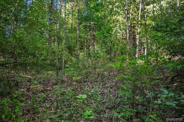6250 Stine Road, Goodland Township, MI 48444