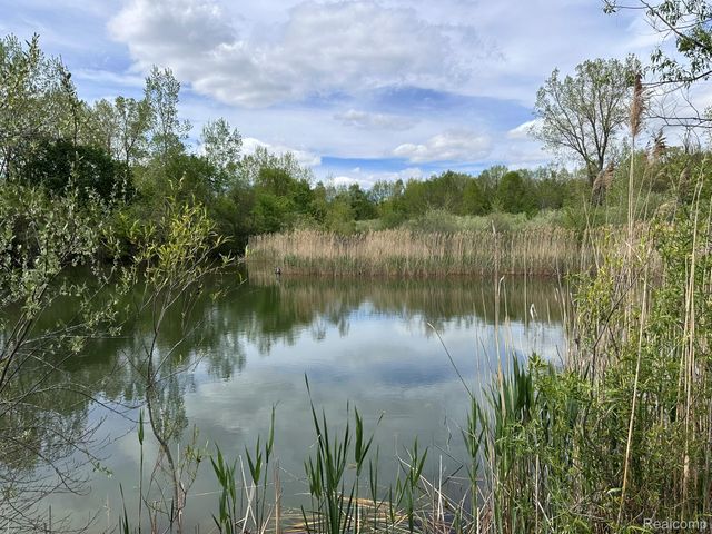 6250 Stine Road, Goodland Township, MI 48444