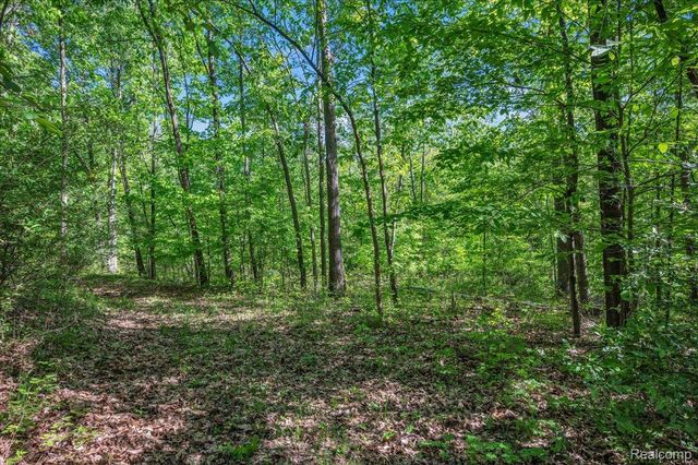 6250 Stine Road, Goodland Township, MI 48444