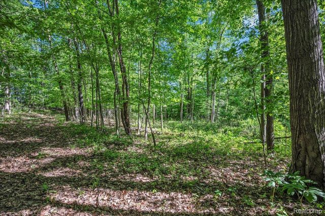 6250 Stine Road, Goodland Township, MI 48444
