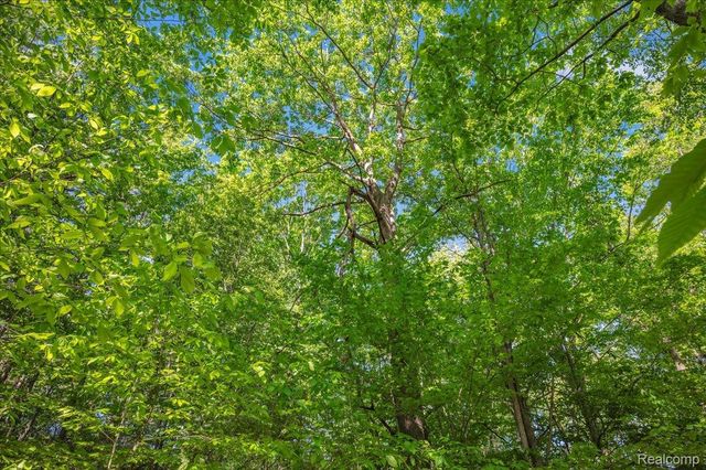 6250 Stine Road, Goodland Township, MI 48444
