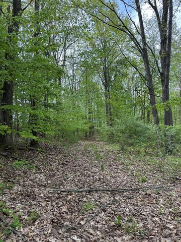 6250 Stine Road, Goodland Township, MI 48444