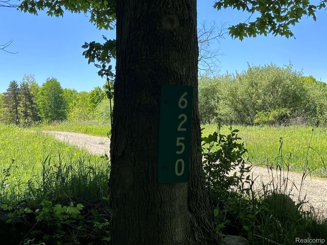 6250 Stine Road, Goodland Township, MI 48444
