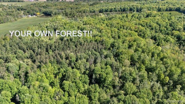 6250 Stine Road, Goodland Township, MI 48444
