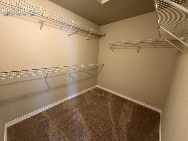 4328 Samaritan Loop, Colorado Springs, CO 80916