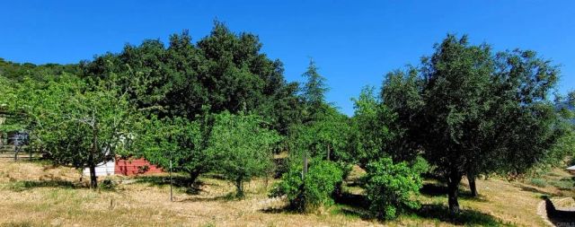 26380 San Felipe Road, Warner Springs, CA 92086