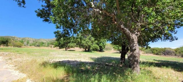 26380 San Felipe Road, Warner Springs, CA 92086