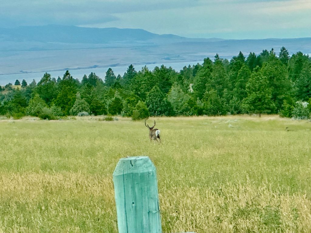 83 Big Country Drive, Townsend, MT 59644 photo 100