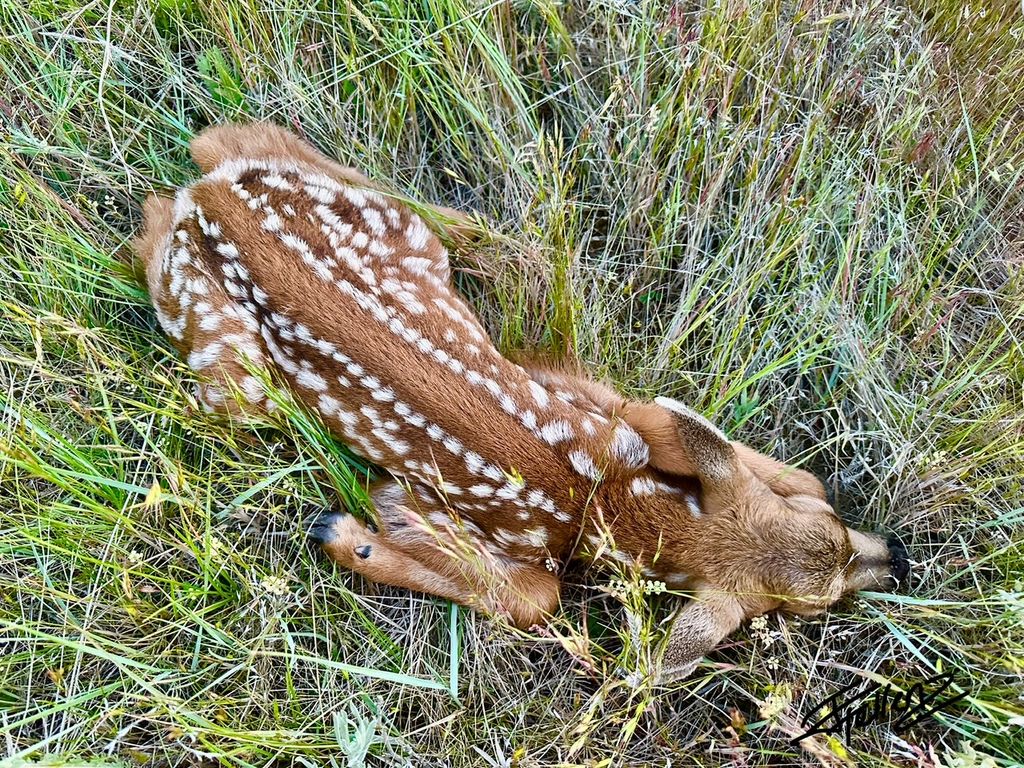83 Big Country Drive, Townsend, MT 59644 photo 101