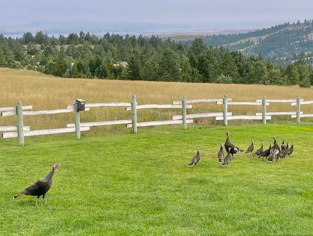 83 Big Country Drive, Townsend, MT 59644 photo 104