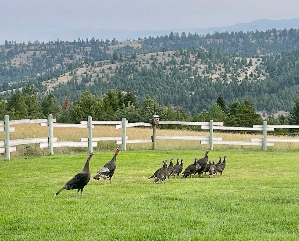 83 Big Country Drive, Townsend, MT 59644 photo 105