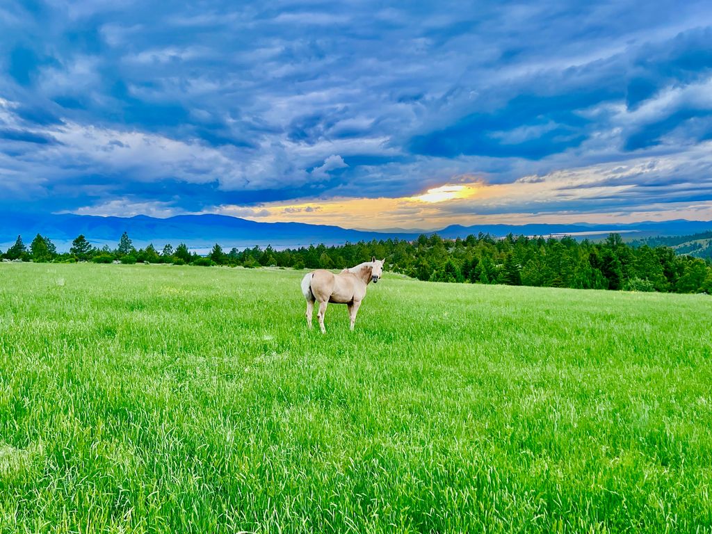 83 Big Country Drive, Townsend, MT 59644 photo 106