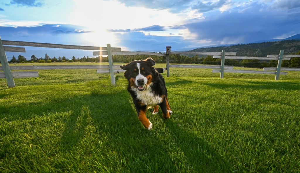 83 Big Country Drive, Townsend, MT 59644 photo 108