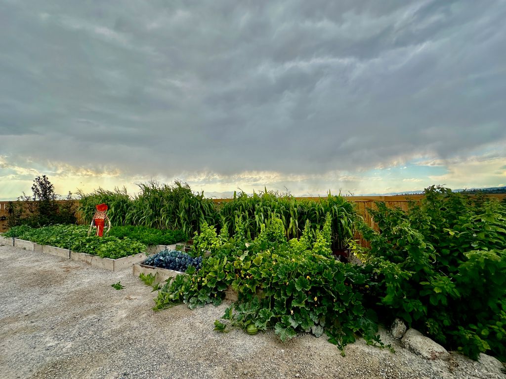 83 Big Country Drive, Townsend, MT 59644 photo 117