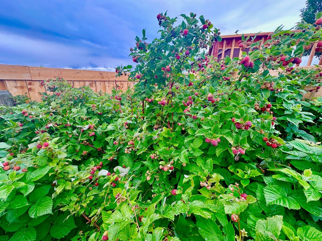 83 Big Country Drive, Townsend, MT 59644 photo 122