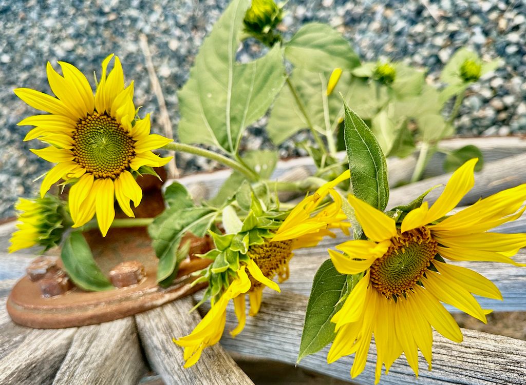 83 Big Country Drive, Townsend, MT 59644 photo 123