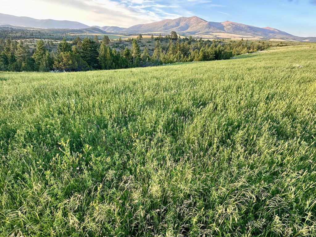 83 Big Country Drive, Townsend, MT 59644 photo 98