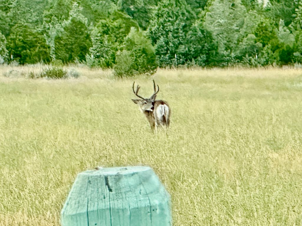 83 Big Country Drive, Townsend, MT 59644 photo 99