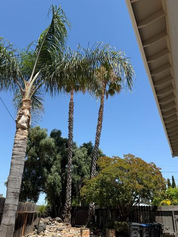 1661 Fairfield Ave, Fairfield, CA 94533