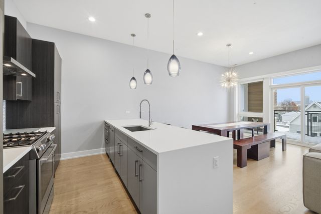 725 W 17th Street 3, Chicago, IL 60616