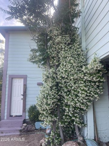 6 COCHISE Trail, Bisbee, AZ 85603