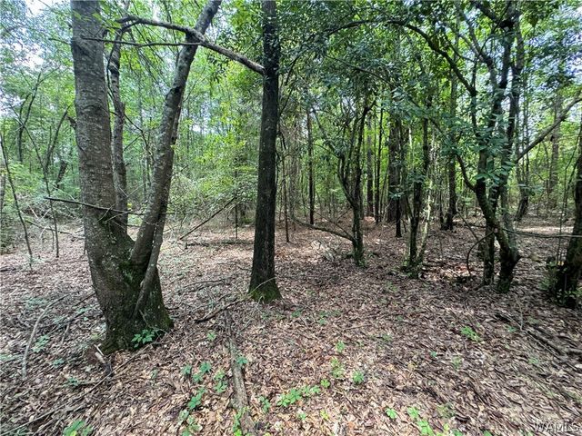 7076 Hwy 82 East, Tuscaloosa, AL 35405