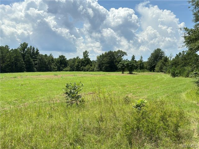 7076 Hwy 82 East, Tuscaloosa, AL 35405