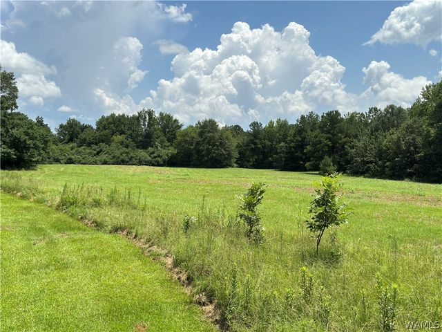 7076 Hwy 82 East, Tuscaloosa, AL 35405