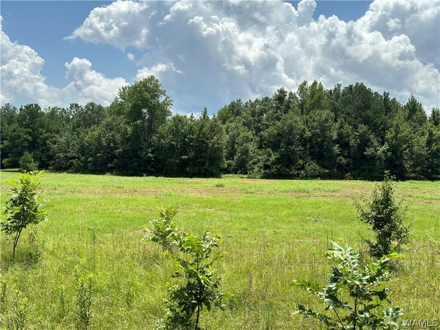 7076 Hwy 82 East, Tuscaloosa, AL 35405