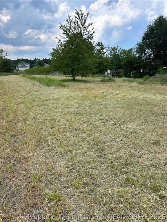 6228 Tabor Church Road, Fayetteville, NC 28312 — photo 3