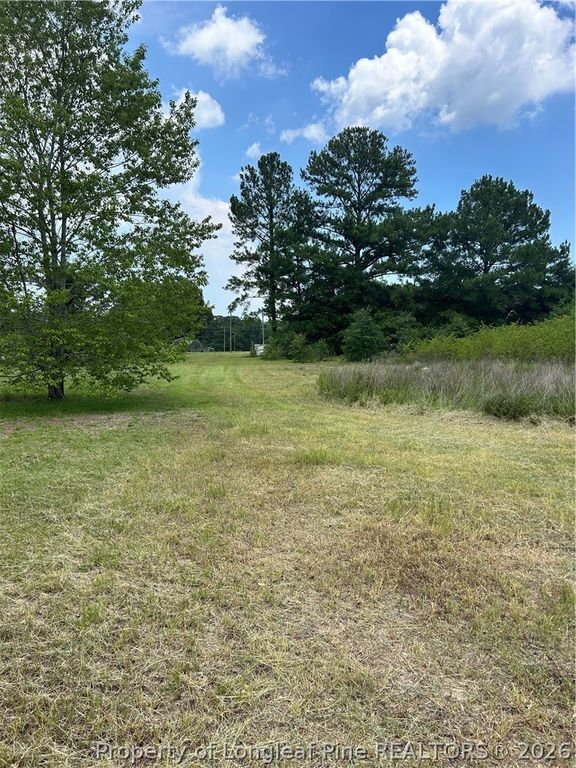 6228 Tabor Church Road, Fayetteville, NC 28312 — photo 4