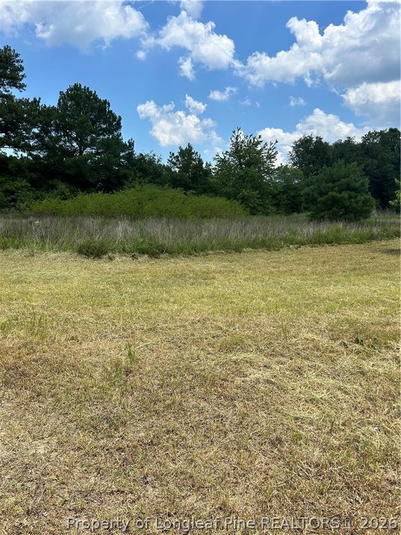 6228 Tabor Church Road, Fayetteville, NC 28312 — photo 5