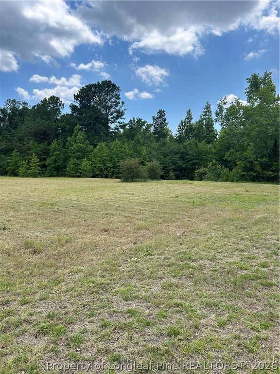 6228 Tabor Church Road, Fayetteville, NC 28312 — photo 6
