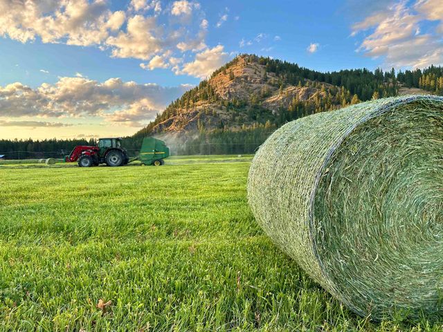 820 Echo Stub Rd, Colville, WA 99114