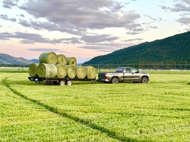 820 Echo Stub Rd, Colville, WA 99114