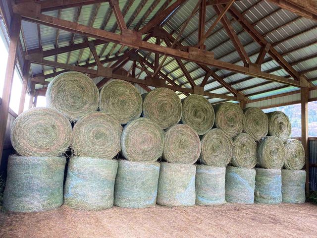 820 Echo Stub Rd, Colville, WA 99114