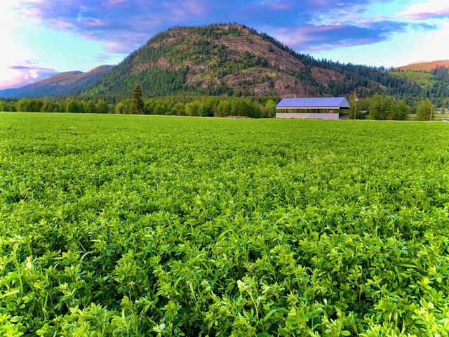 820 Echo Stub Rd, Colville, WA 99114