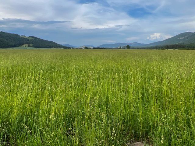 820 Echo Stub Rd, Colville, WA 99114