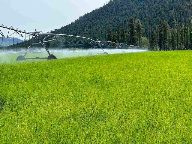 820 Echo Stub Rd, Colville, WA 99114