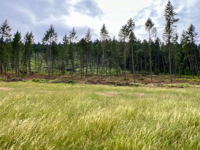 820 Echo Stub Rd, Colville, WA 99114